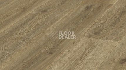 Ламинат Kronotex Exquisit 8мм d4689 Дуб Сьерра Золото фото 1 | FLOORDEALER